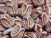 Tulip Bell Beads 16x11 mm, Alabaster Rose Full AB with Copper Streaks, Czech Glass