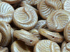 Fossil Coin Beads 19 mm, White Alabaster Herbs Spices Caraway, Czech Glass