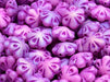 Folklore Flower Beads 11x11 mm, White Alabaster Matte Full AB with Violet Streaks, Czech Glass