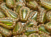 Lacy Tear Beads 17x12 mm, Light Olivine Transparent 43805, Czech Glass