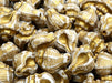 Murex Shell Bead 15x12 mm, Alabaster White with Gold Decor, Czech Glass